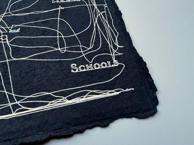 FLOCKS, HERDS & SCHOOLS