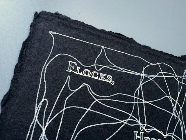 FLOCKS, HERDS & SCHOOLS